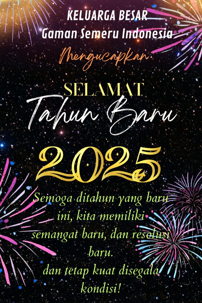 Cerita Instagram Ucapan Selamat Tahun Baru 2025 Estetik Meriah Hitam dan Em_20241231_233133_0000